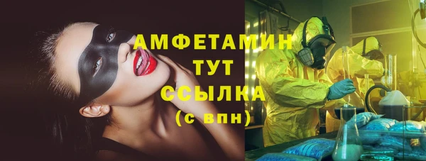 ECSTASY Горняк