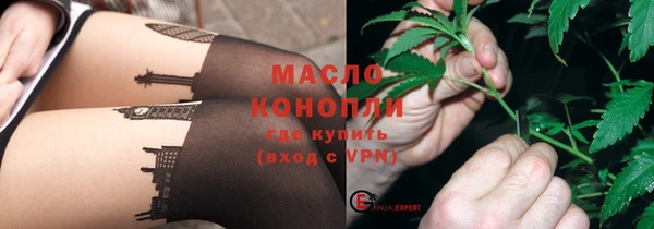 ECSTASY Горняк
