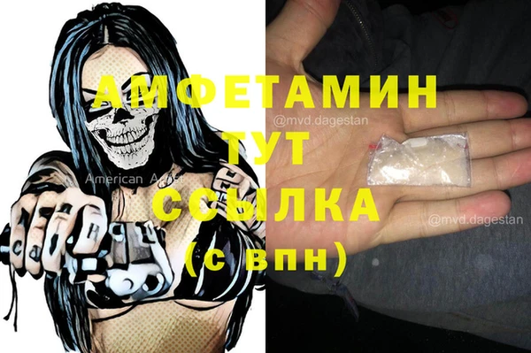 ECSTASY Горняк