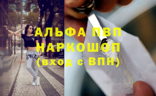 ECSTASY Горняк