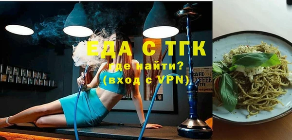 ECSTASY Горняк