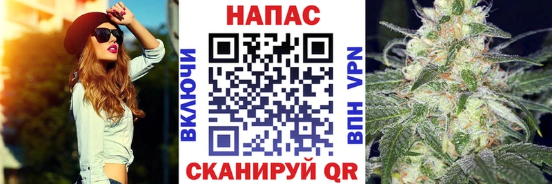 Купить где  Новоузенск  МАРИХУАНА ГИДРОПОН 